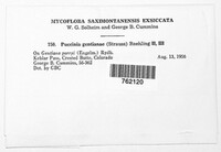 Image Associated With the Occurence